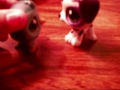 Click here to watch this video littlest pet shop party!