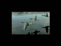 vid�o 