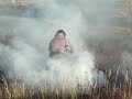 Chotebor Burnout 2