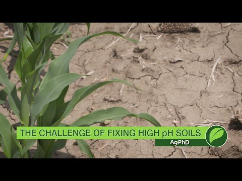 video-linktoworks-Fixing High pH Soils #1015 (Air Date 9-17-17)