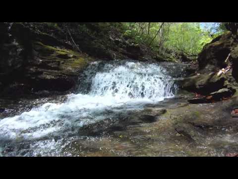 255 acres Ponca, AR