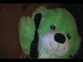 The teddy bear incident.