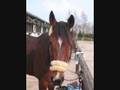 videos de M3iN3 PF3RDCH3N