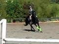 Lafayette Equestrian Team