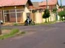 Frango empinando