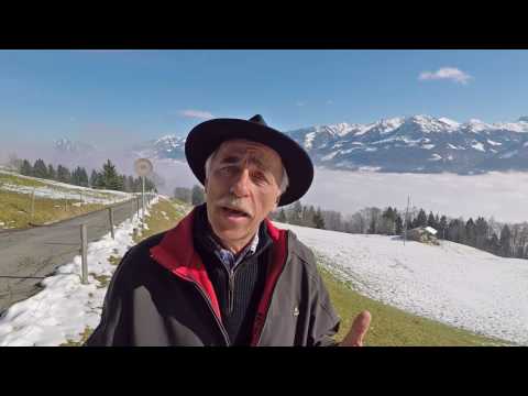 8 Schwermetalle ausleiten   die besten Tipps zur Entgiftung