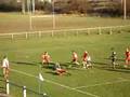 tygre rugby video