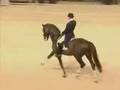 Dressage * - Lord of the Dance (Re-make)