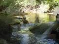 Ecoturismo en la Selva Lacandona