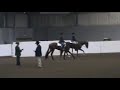 Corky - 3yo non pro HUS Congress 2007 Corky - 3yo non pro HUS Congress 2007