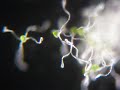 This video shows the elater/spore dipersal movement, that we saw in yesterdays #BS1012 practical. http://www.youtube.com/watch?v=Wqn_7nqxwfg