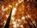 John Askew Feat Senadee - Nothing Left Between Us