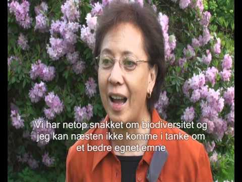 See video