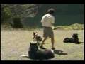 Wonderdogs.bc.ca -- Ben Kersen's School for Dog Training