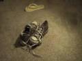 Converse Study: Part 1