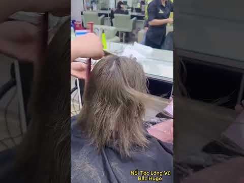 1183 Video của Salon Chuyến nối tóc Bắc Hugo