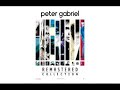 peter gabriel birdy album