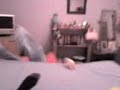 Emma Fell ! Hahaha Emma Fell ! Hahaha