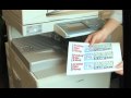 Planet Ark's National Recycling Week Friday File Fling 'how to guide'