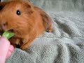 Gary\