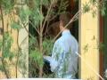 The Chaser 's War on Everything - Door to Door Spam