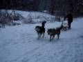 videos de Entrainement sur neige...