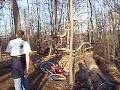 the stump jumpers take a go at going totally tarzan on a tree.