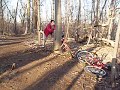 the stump jumpers take a go at going totally tarzan on a tree.