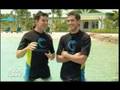 Dave Annable Celeb Watch Interview