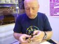 Edinburgh - Deep fried MARS bar