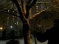 videos de First Snow of year 2009 in Birmingham