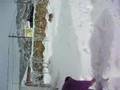 snow margaliot 310108