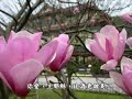 杭州浪漫實景音樂多媒體（攝影/影片製作：惠生/正儀）