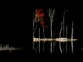 videos de Landscape