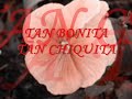 su florcita   agrupacion marilyn