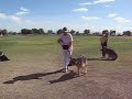 Teaching basic attention