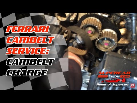 Ferrari 456M Service with Cambelts  12  Cambelt Change