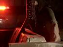 \"the beast\" Buffalo Iron Pour \"the beast\" Buffalo Iron Pour