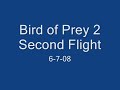 RC Bird of Prey Foamie - Flight 2
