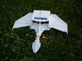 RC Bird of Prey Foamie - Flight 2