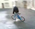 ben velo