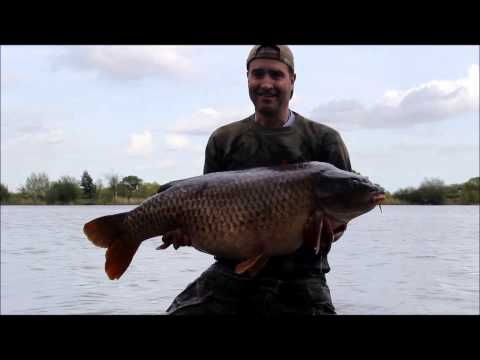 XL Carp Video