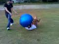Duck getting kicked