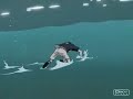 Naruto Vs. Sasuke - The Kill Naruto Vs. Sasuke - The Kill
