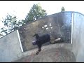 Waldport Skatepark