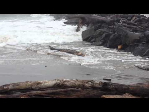 how to enable jetty logging