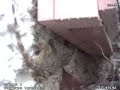 Gecko refuge