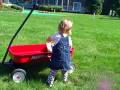 Wagon at the Lake