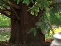 EVER SEEN AN ALBINO SQUIRREL?