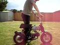 Z50A ELSINORE